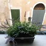 Palauet Cosy Old Town In For 1 Person *