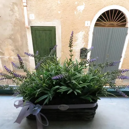 Palauet Cosy Old Town In For 1 Person *