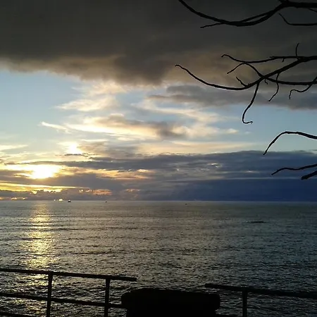 Lägenhet Palauet Cosy Old Town In For 1 Person *